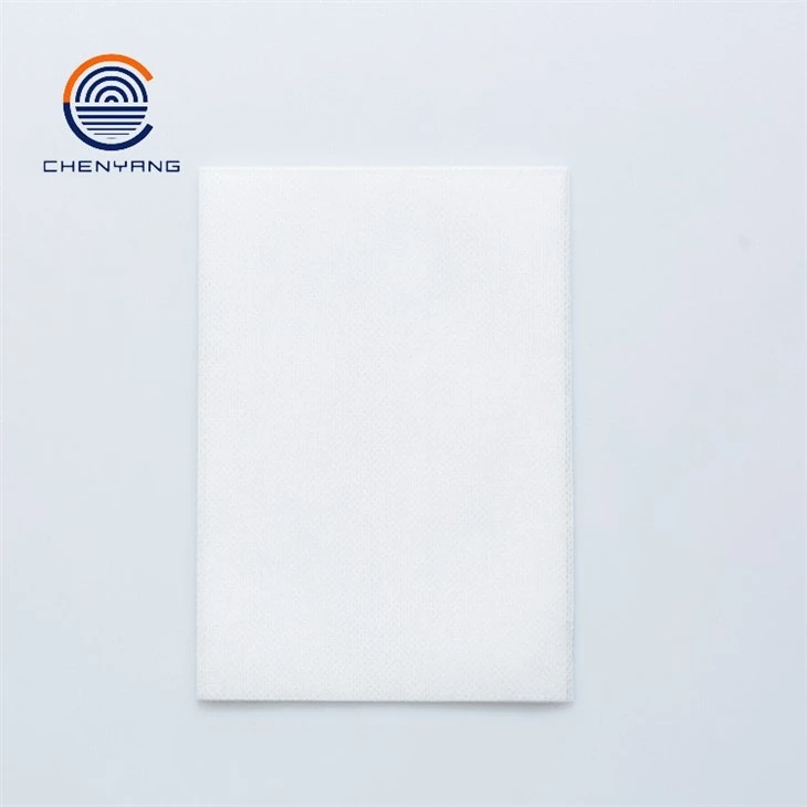 Nonwoven Wipe factory